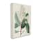 Stupell Industries Vintage Garden Study Red Stem Floral Plant Canvas Wall Art